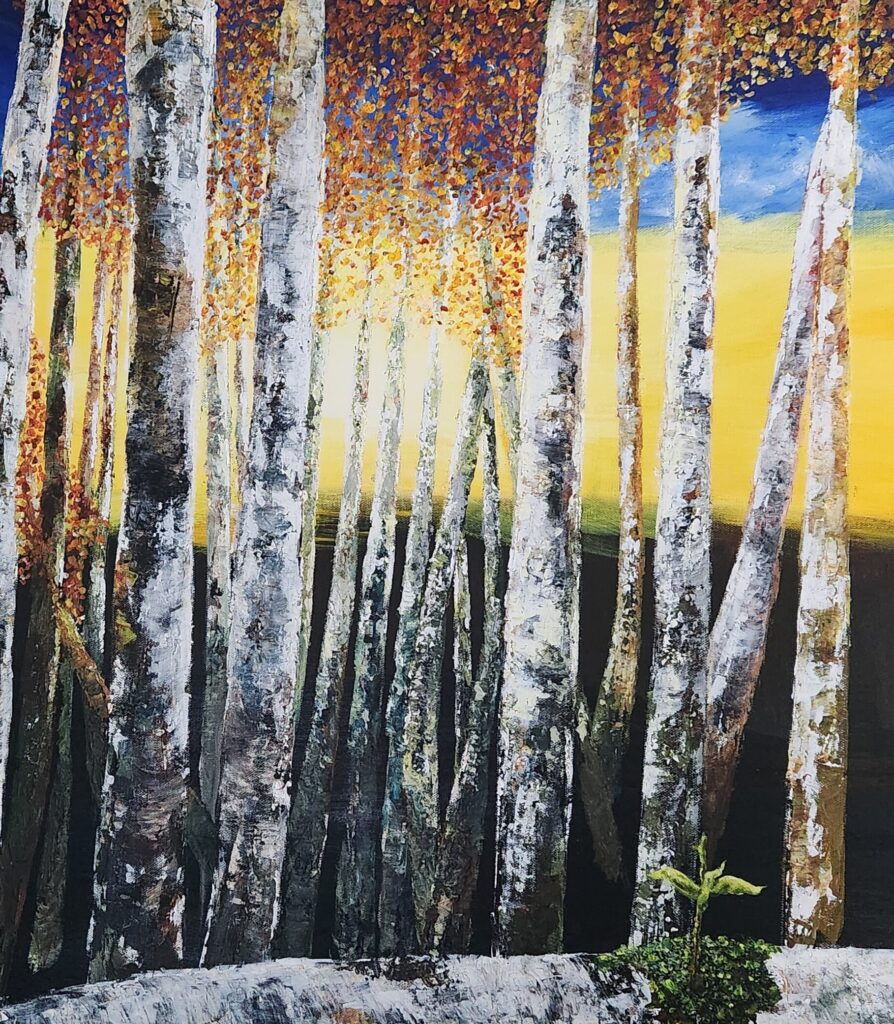 Forest, bosque, arboles